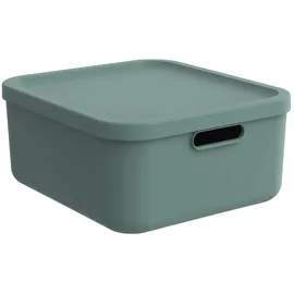 Rotho Aufbewahrungsbox ALBULA 20 l 1-tlg. grün