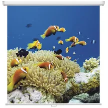 Magnetoplan Cinerollo 240x240 1:1