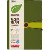 Herlitz 11411253 Fächermappe 12 Fächer Recycling-PP-Folie dunkelgrün
