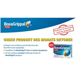 Boxagrippal Forte Filmtabletten 400mg/60mg 12 Stück