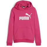 Puma Mädchen Pullover, ESS Logo Hoodie TR G, Rosa, 152