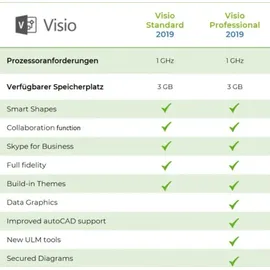 Microsoft Visio Professional 2021 ESD DE/EN Win