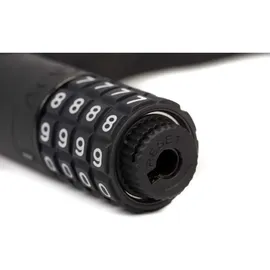 Cube Acid Corvid C120