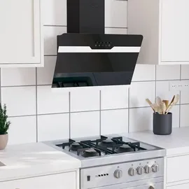 vidaXL Dunstabzugshaube 60 cm Schwarz