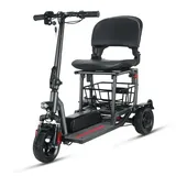 eneway Muvy 3-Rad Elektromobil 6 km/h mit Lithium-Akku