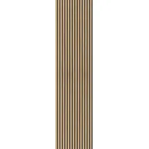 acous Akustikpaneel Professional Hellbraun 2 St. 60 x 250 x 2,1 cm
