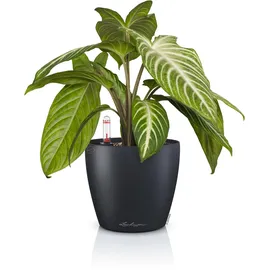LECHUZA Classico Color Ø 15 cm x 14 Schiefergrau