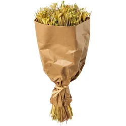 Trockenblume CREATIV HOME "Trockenblumenbouquet", grün, H:44cm, Kunstpflanzen
