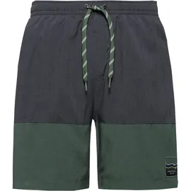 Protest Badeshorts PRTCabus Grün XL