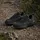 adidas Terrex Anylander Wanderschuhe - Core Black / Core Black / Grey Four - EU 40