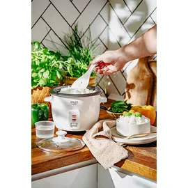 Adler AD 6418 Reiskocher Schwarz, Edelstahl 1000 Watt - Transparent