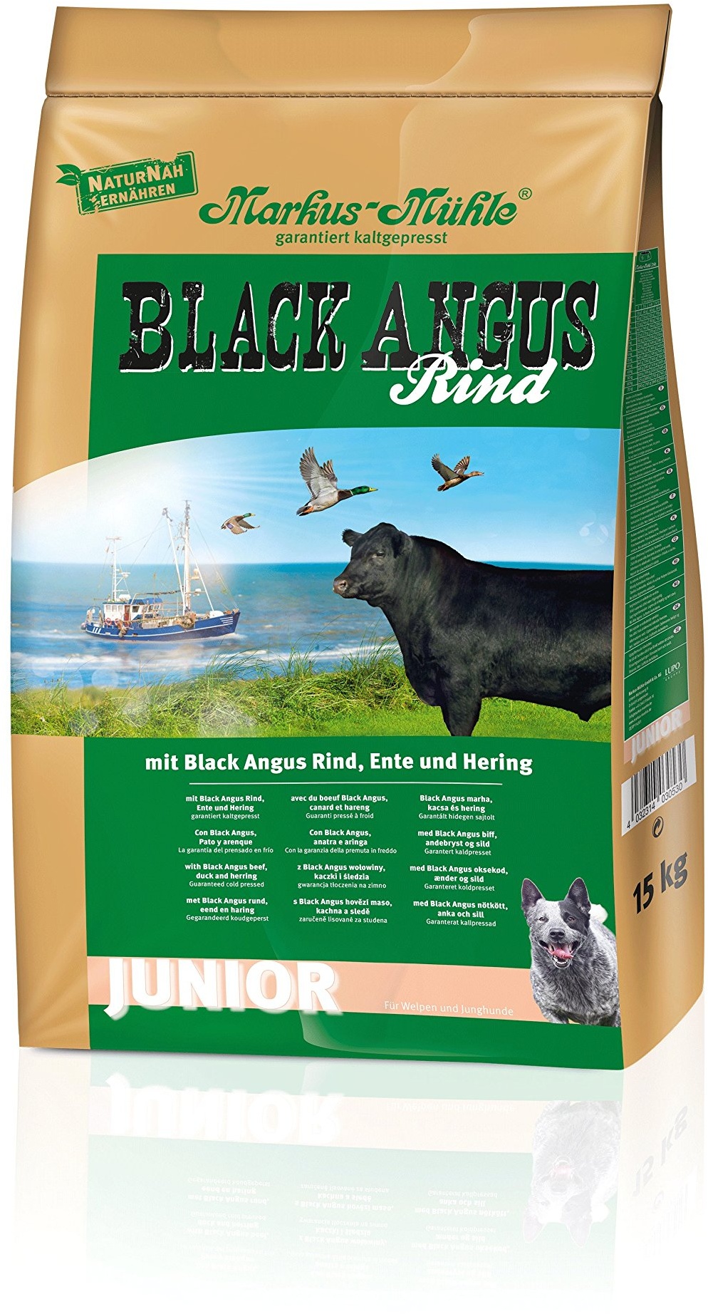 black angus junior