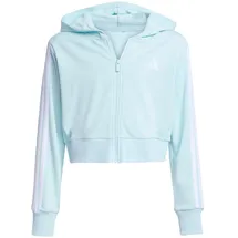 adidas Essentials Halo Mint 128
