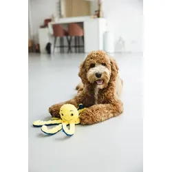 Beeztees Oktopus Amy, Hundespielzeug