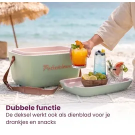 POLARBOX Kühlbox Classic 20 l