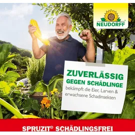 NEUDORFF Spruzit Schädlingsfrei Insektizid 50 ml