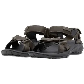 Jack Wolfskin Lakewood Ride Herren cold coffee 45,5
