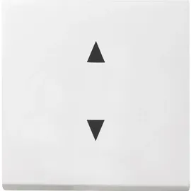 Gira Wippschalter 861603