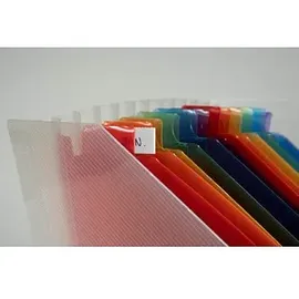 Exacompta Fächer-Stehsammler 55598E Transparent 26,5 x 32,5 cm 1 St.