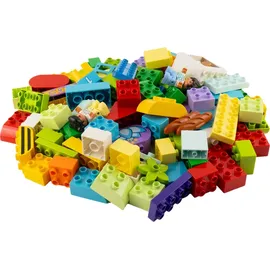 LEGO Duplo Gemischte Steine 2500