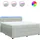 vidaXL Boxspringbett 180 x 200 cm Hellgrau