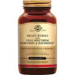 Brain Works1