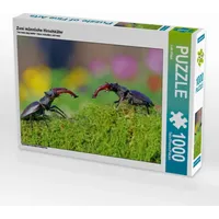 Calvendo Zwei männliche Hirschkäfer Puzzle