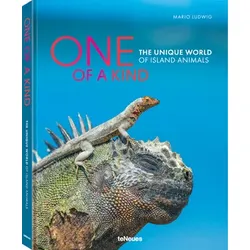 One of a Kind