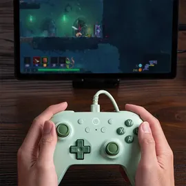 8bitdo Ultimate 2C Wired Pad Controller Grün PC