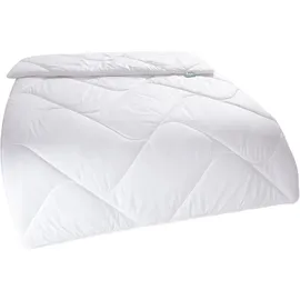fan Microfaserbettdecke FAN "Microfaser kochfest, Bettdecken für Sommer und Winter, Decke", weiß, B:135cm L:200cm, Bezug: 100% Polyester.