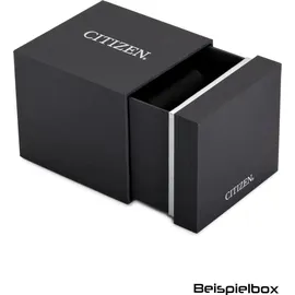 Citizen AN3660 Edelstahl 38 mm AN3660-73X