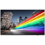 Philips 55BFL2214/12 55" 4K LED Professional TV