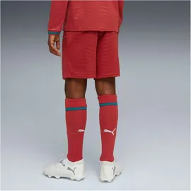 Puma Portugal Shorts 2025/26 Replica rot/grün Kinder Gr. 176