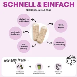 yes vegan Leber Komplex Mariendistel Artischocke Löwenzahn Cholin Kapseln 220 St.