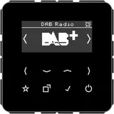 Jung Smart DAB+ Digitalradio schwarz