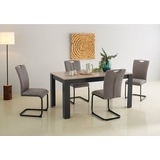 Home Affaire Essgruppe Napoli, (Set, 5-tlg), 5-teilige Tischgruppe mit modernem Freischwinger Stuhl und Esstisch grau
