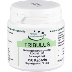 Tribulus Kapseln