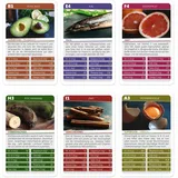 Quartett.net Paleo Lifestyle Quartett