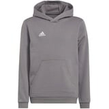 Adidas Entrada 22 Hoodie Kinder tegrfo 152