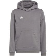 Adidas Entrada 22 Hoodie Kinder tegrfo 152