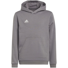 Adidas Entrada 22 Hoodie Kinder tegrfo 152