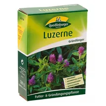 Quedlinburger 205706 Luzerne 500 g (Gründünger)