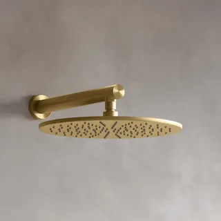 Fortis Metall-Kopfbrause-Set, rund gold gebürstet