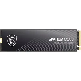 MSI SPATIUM M560 SSD M.2 - Black