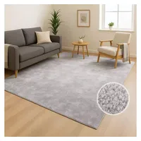 Carpet City Waschbarer Teppich Einfarbig Kurzflor - 80x140 cm