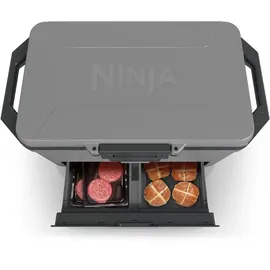 Ninja Kühlbox FrostVault FB151EUGY mit Trockenzone Schiefergrau 47 l