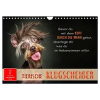 Calvendo Tierische Klugscheißer (Wandkalender 2026 DIN A4 quer), CALVENDO