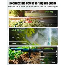 RAINPOINT Bewässerungscomputer 2 Ausgänge schwarz