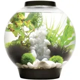 OASE biOrb CLASSIC 30 l