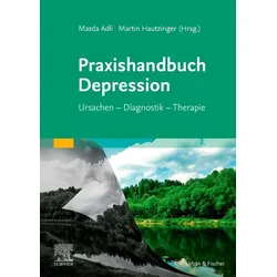 Praxishandbuch Depression Buch 1 St